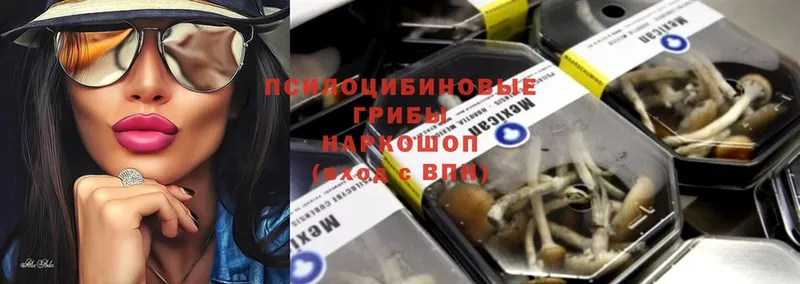 Галлюциногенные грибы MAGIC MUSHROOMS  купить наркоту  кракен как зайти  Томилино 